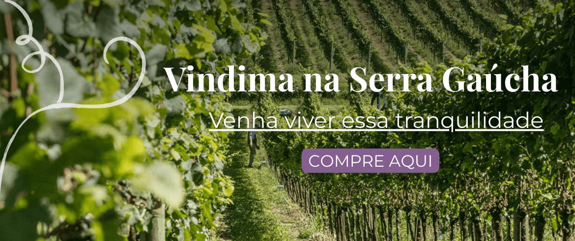 Banner Vindima Serra Gaúcha