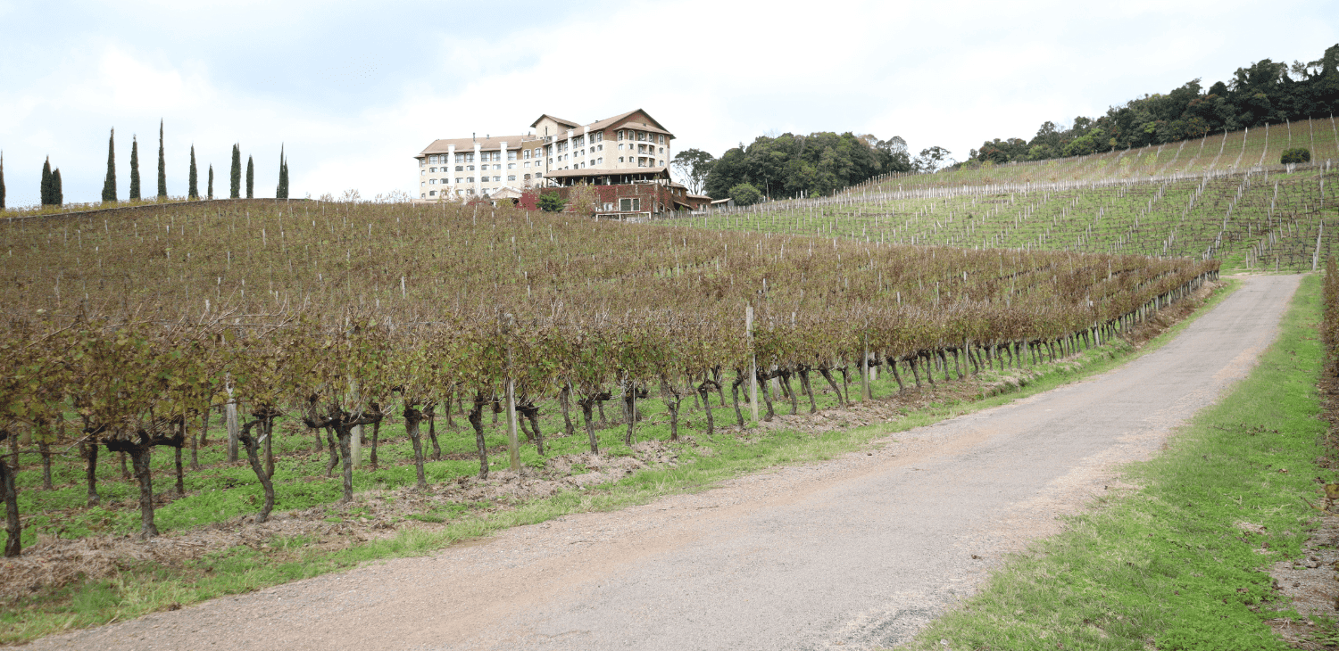 Passeio de Maria Fumaça no Vale dos Vinhedos