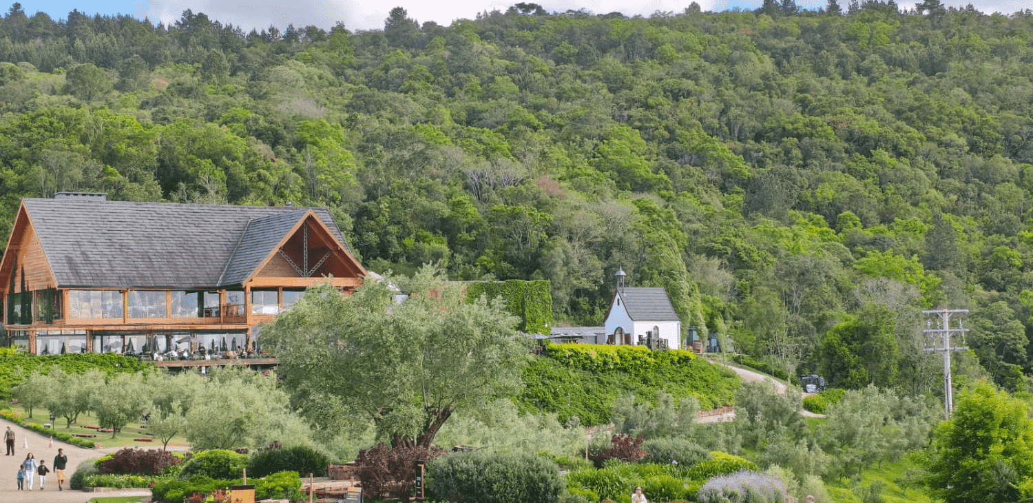 Olivas de Gramado ganha nova atração cultural