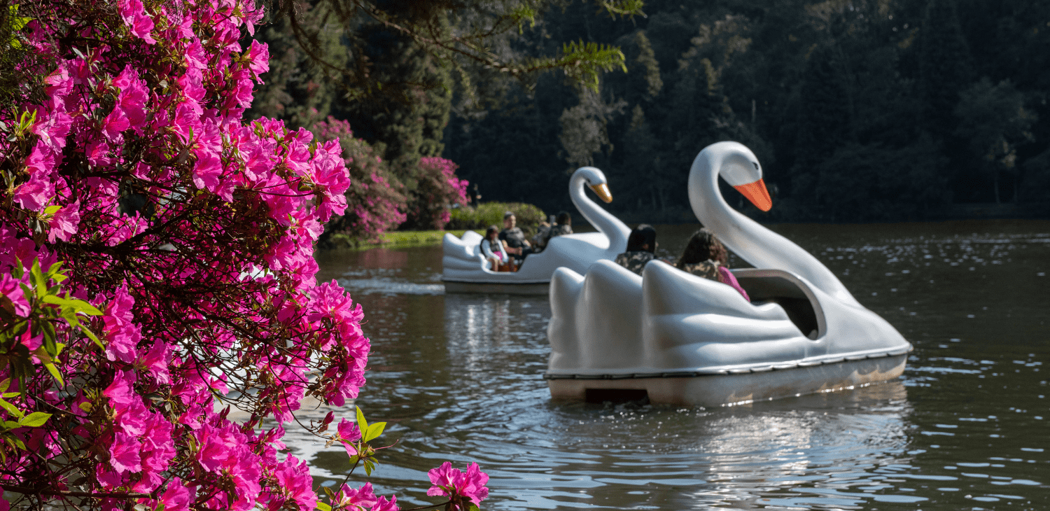 Serra Gaúcha no Verão, charme europeu e natureza