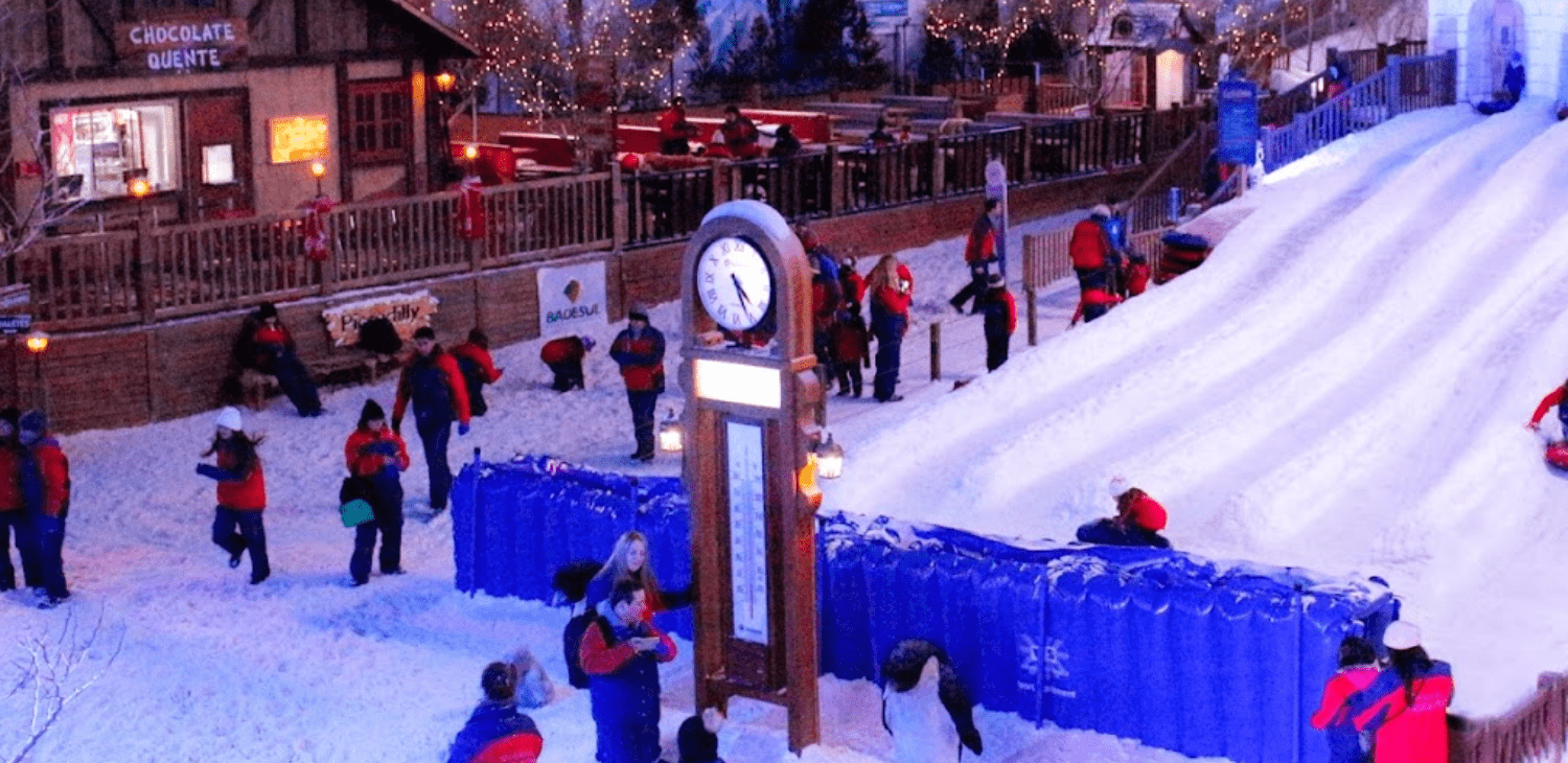 Reconhecimento internacional, Técnico da Snowland Academy