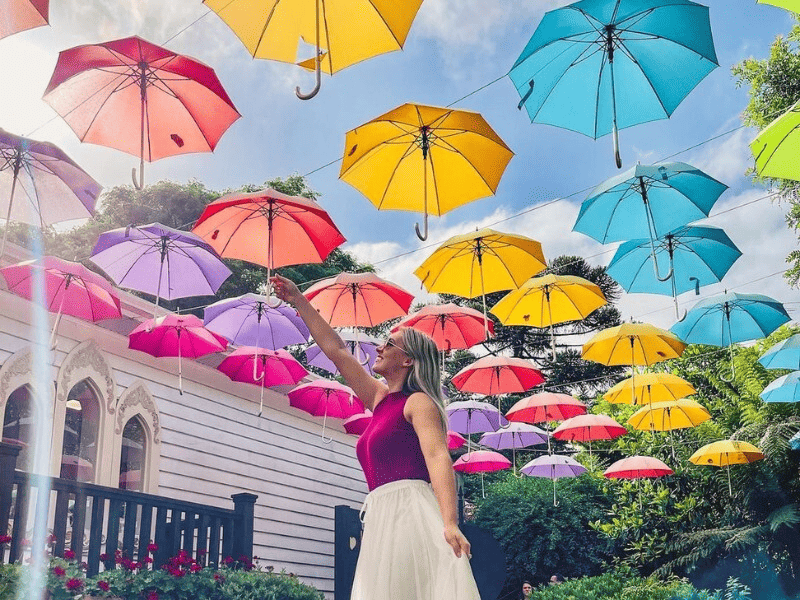 Foto guarda chuvas 02